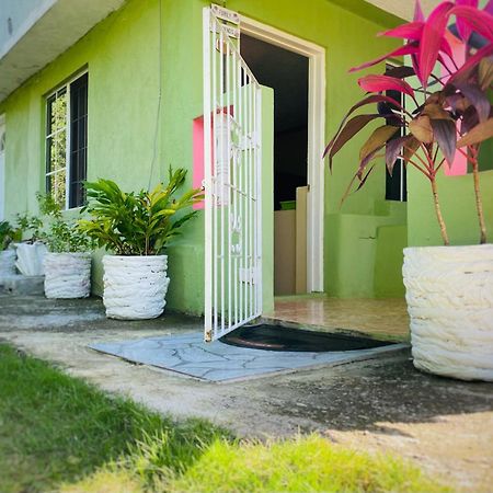 Cindy'S Garden Stay Очо-Ріос Екстер'єр фото