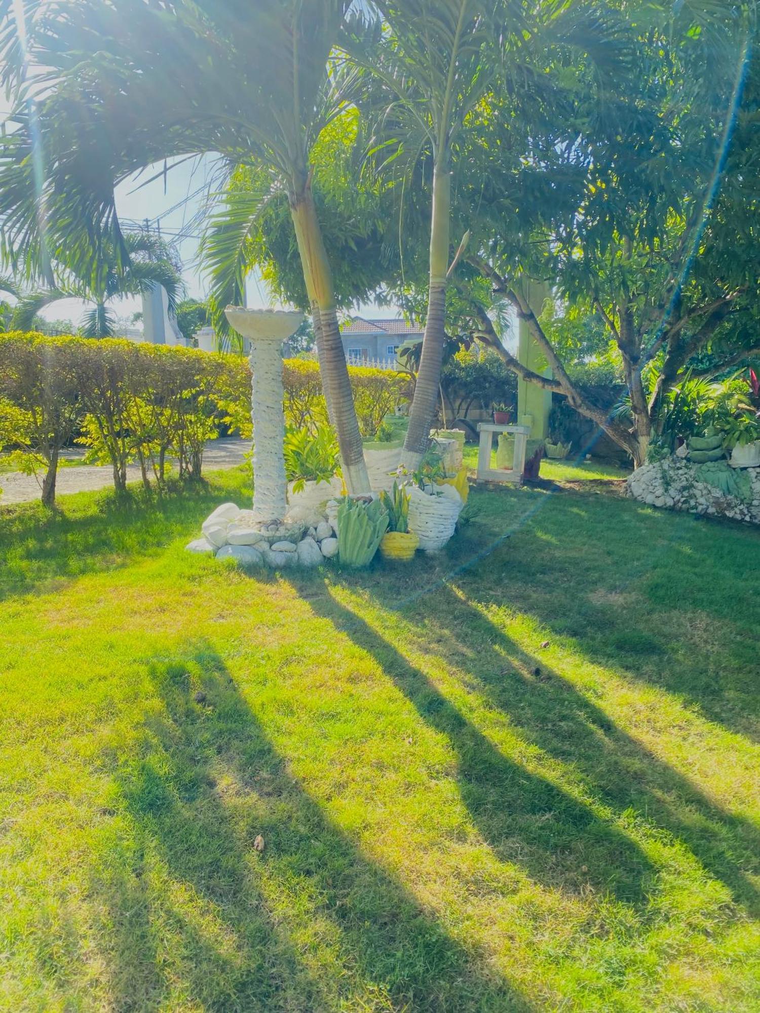 Cindy'S Garden Stay Очо-Ріос Екстер'єр фото